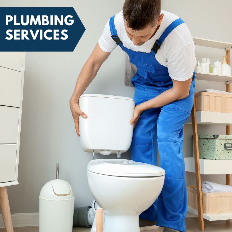Plumbing Company in Arboles, CO
